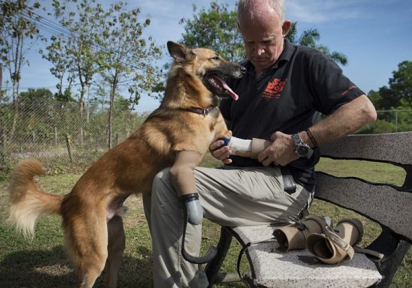 John Dalley e Cola colocando as próteses