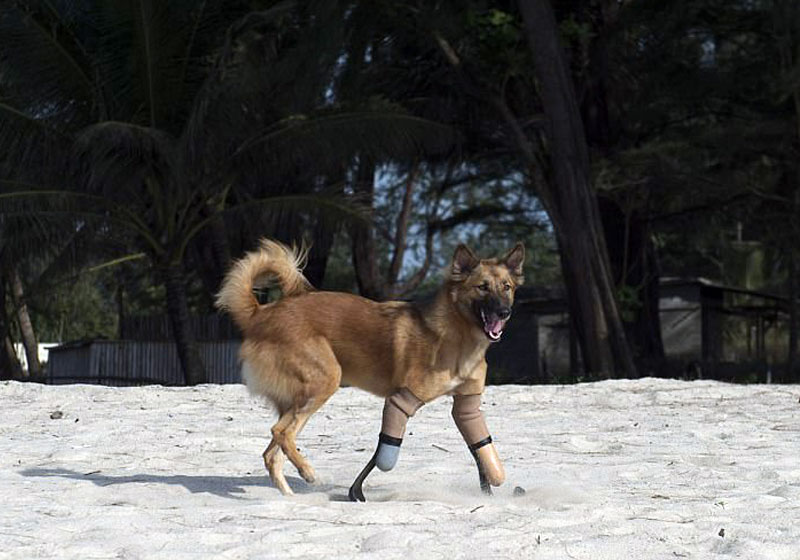 Foto: Reprodução Daily Mail/AFP|Foto: Reprodução Daily Mail/AFP||Foto: Reprodução Daily Mail/AFP