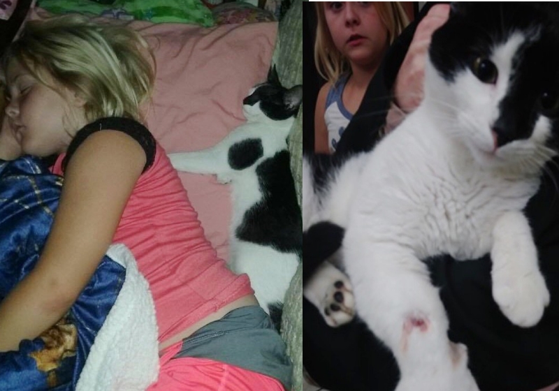 Foto: Reprodução SunnySkyz