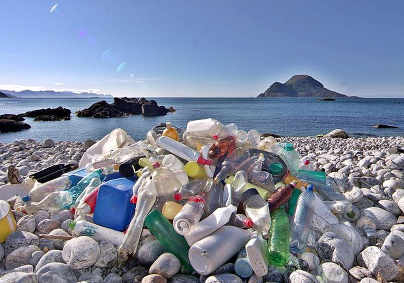 Foto: Reprodução GNN