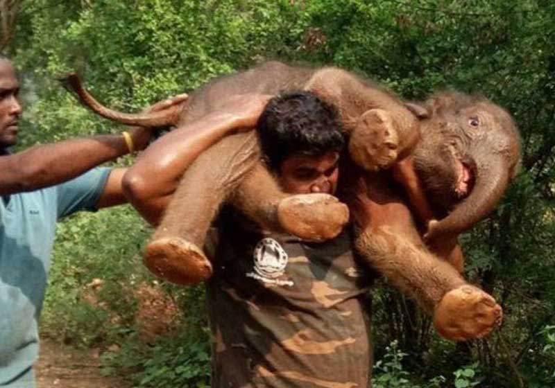 Foto: reprodução / BBC|Foto: reprodução / BBC