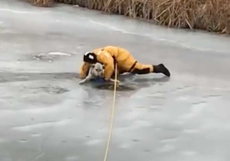 Foto: Reprodução YouTube|