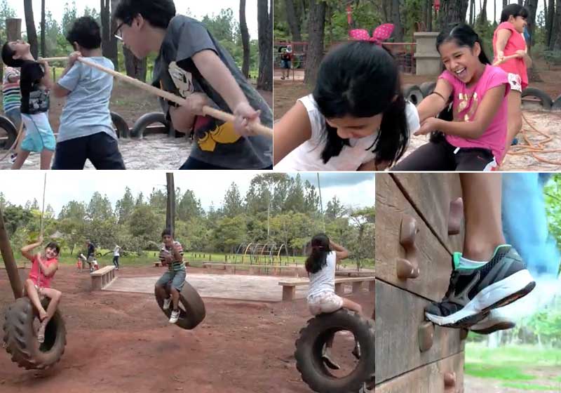 Fotos: reprodução / Momento Ambiental