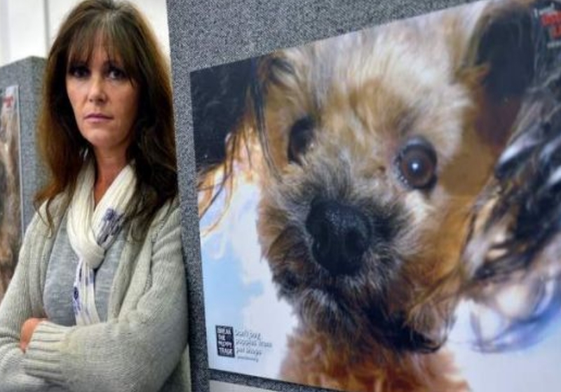 A ativista Debra Tranter e o cãozinho Oscar Foto: The Sydney Morning Herald