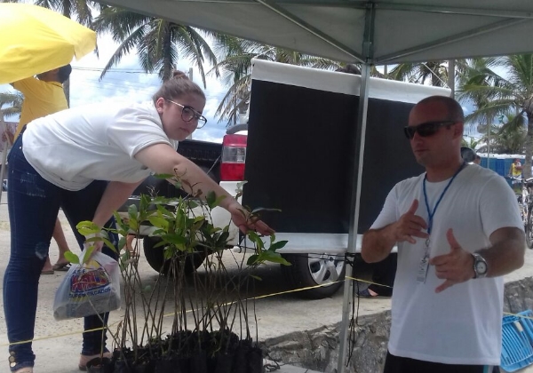 Distribuição de Mudas