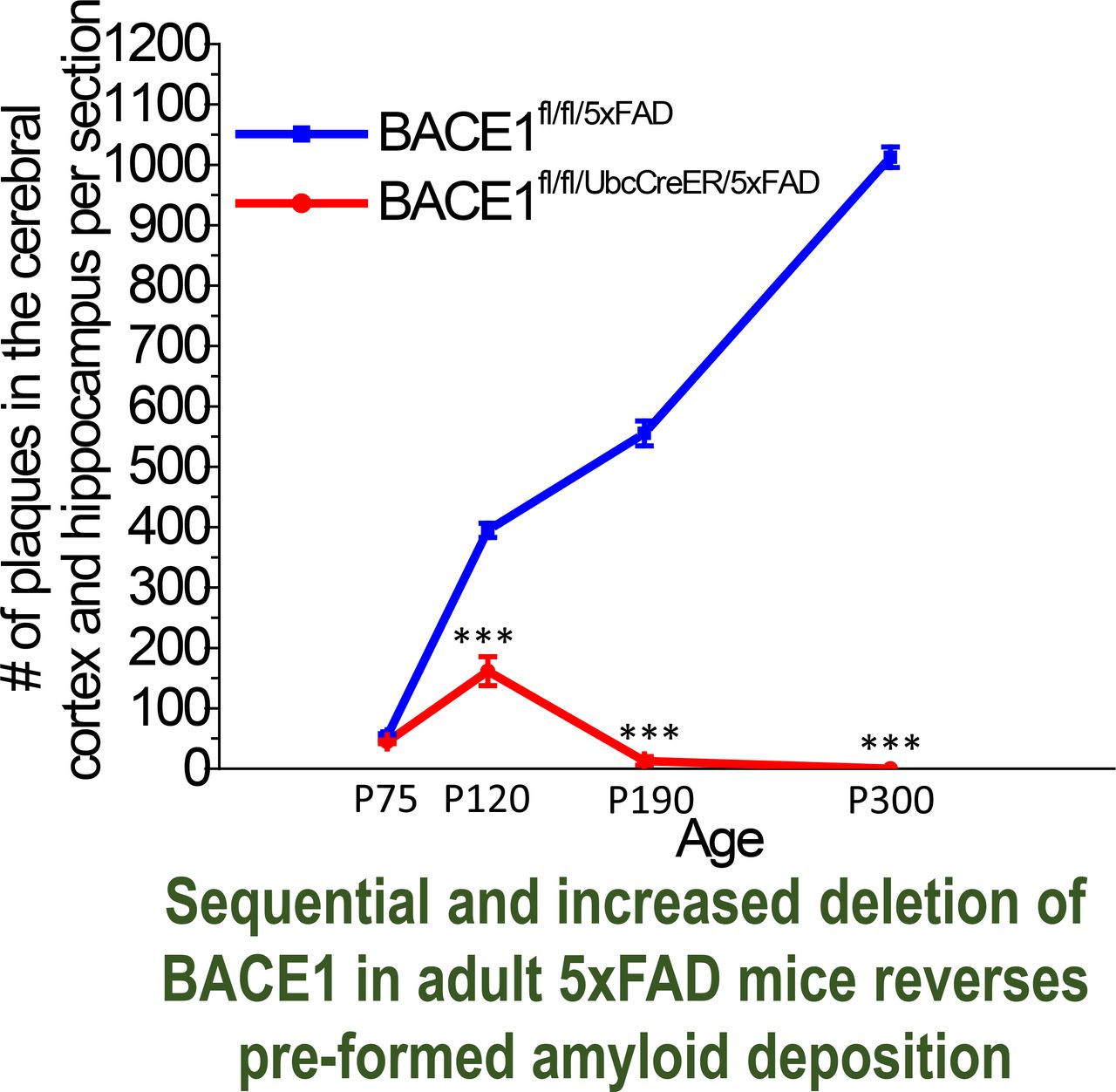 Foto: reprodução / JEM