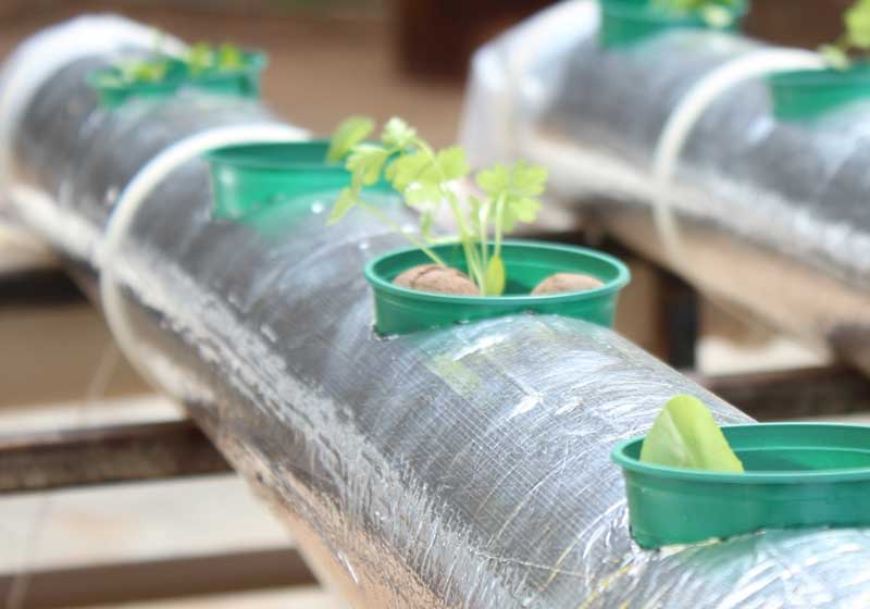 Foto: Samuel Constantini/Arquivo pessoal