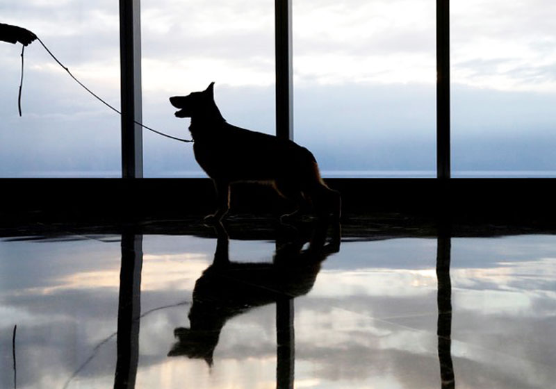 Foto: REUTERS/Brendan McDermid/File Photo