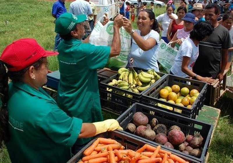 Feira Verde - Foto: Divulgação/ Prefeitura de Ponta Grossa