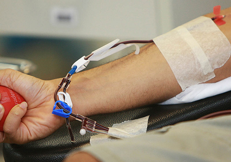 Foto: Carol Garcia/GOVBA|