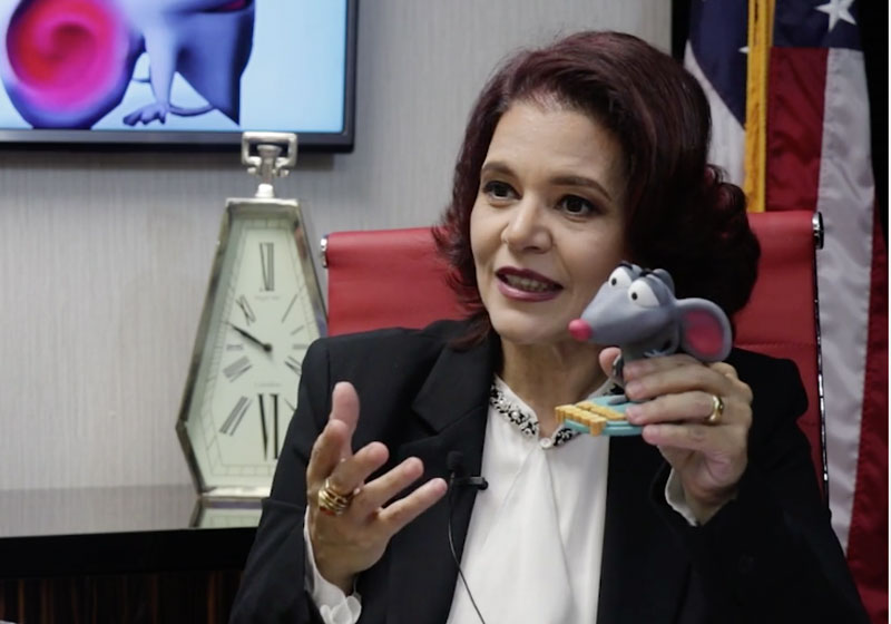 Ana Sarrizo - Foto: reprodução - Brainy Mouse Fundation|