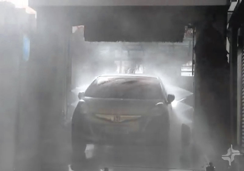 Foto: reprodução / Momento Ambiental