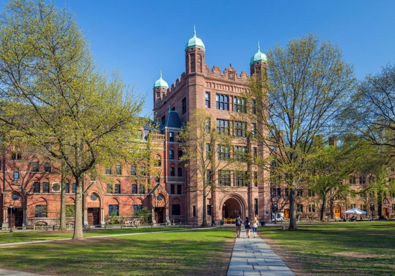 Foto: Reprodução GoodNet