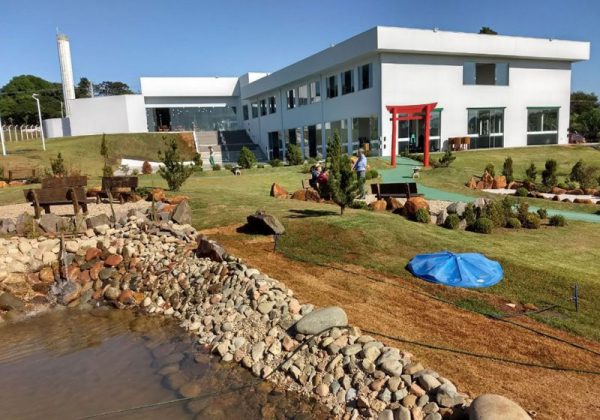 Foto: Reprodução Portal Paranavaí