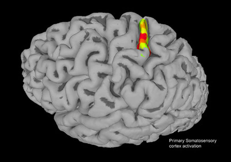 Foto: Courtesy of the Andersen laboratory