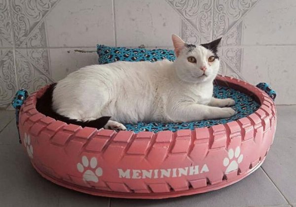 Foto: Arquivo Pessoal