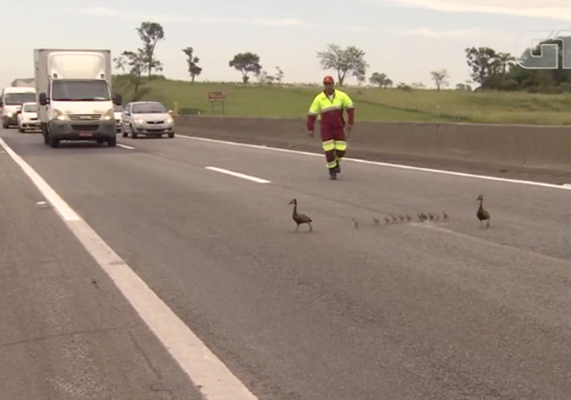 Foto: reprodução / Foto: Edgar Rocha / TV Vanguarda)|
