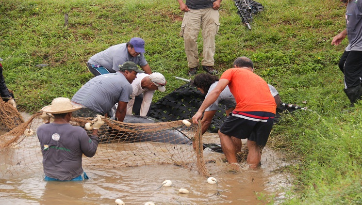 Foto: Karen Canto / Ascom Inpa