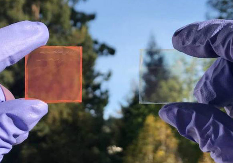 Foto: divulgação / Lawrence Berkeley