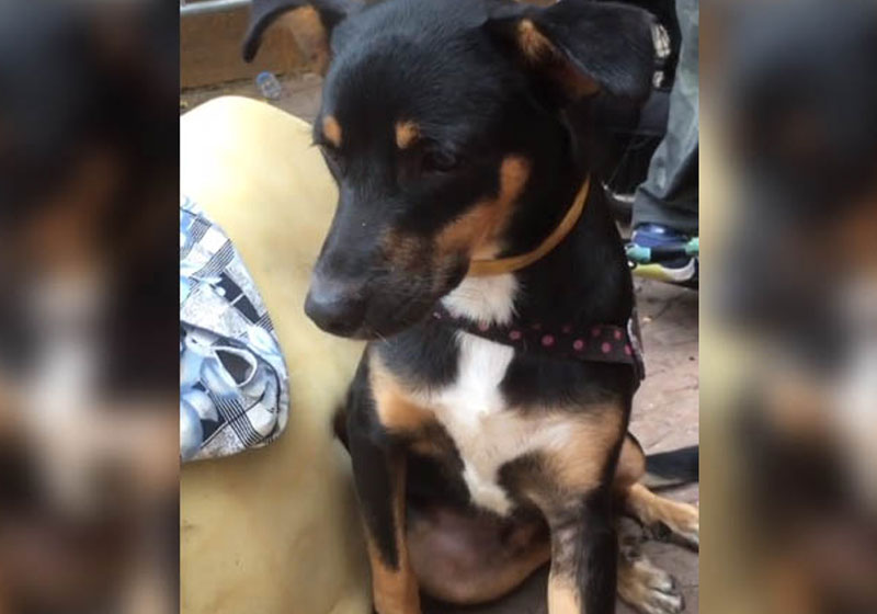 Foto: reprodução / Instagram