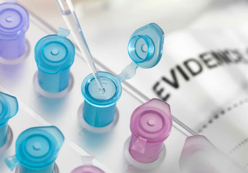 Foto: Reprodução The Guardian|Foto: Reprodução The Guardian