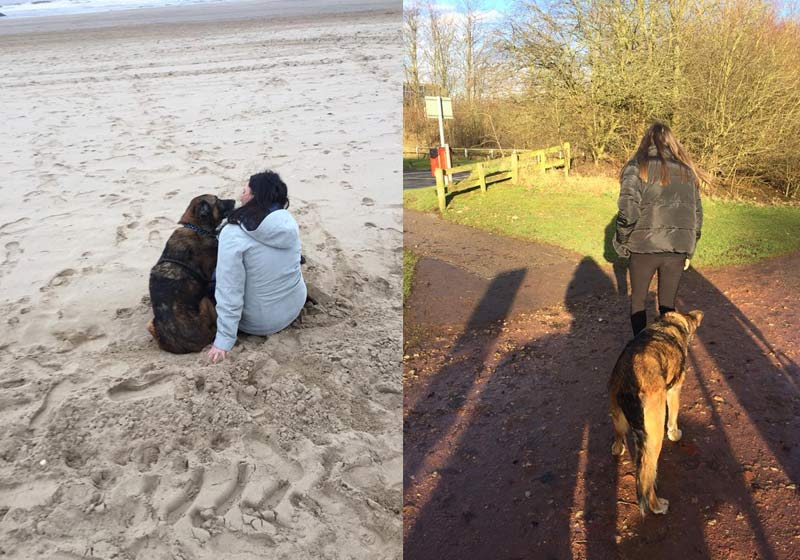 Fotos: The Grey Muzzle Canine Hospice Project / Facebook