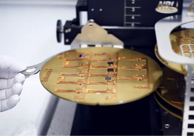 Foto: Universidade de Exeter -reprodução / Youtube