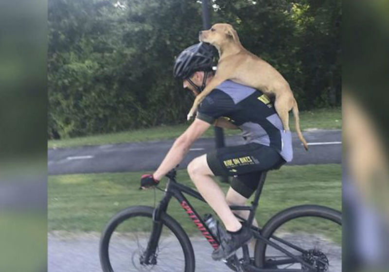 Foto: reprodução / Facebook|Foto: reprodução / Facebook|