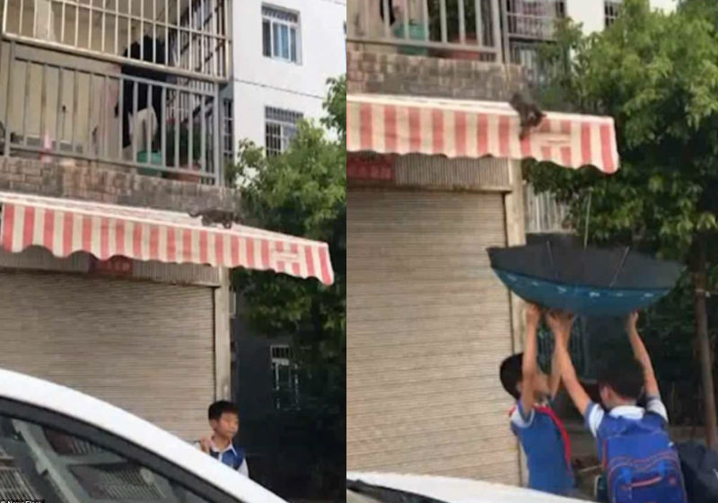 Fotos: reprodução / DailyMail