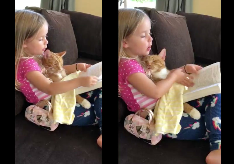 Fotos: reprodução / Twitter