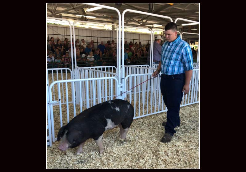 Waylon Klitzman com o porco vendido - Foto: Kim Katzenmeyer|