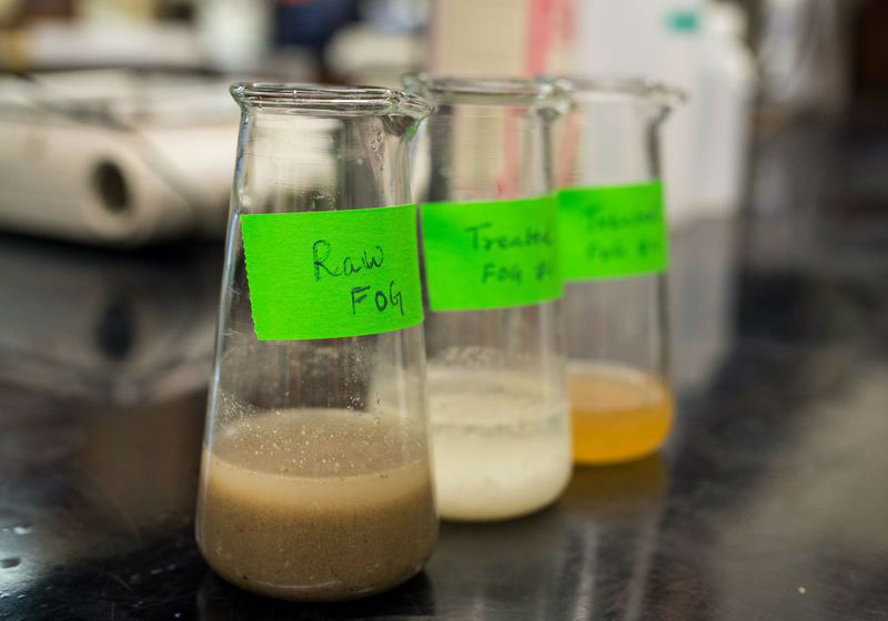 A gordura em vários estágios de tratamento Foto: UBC