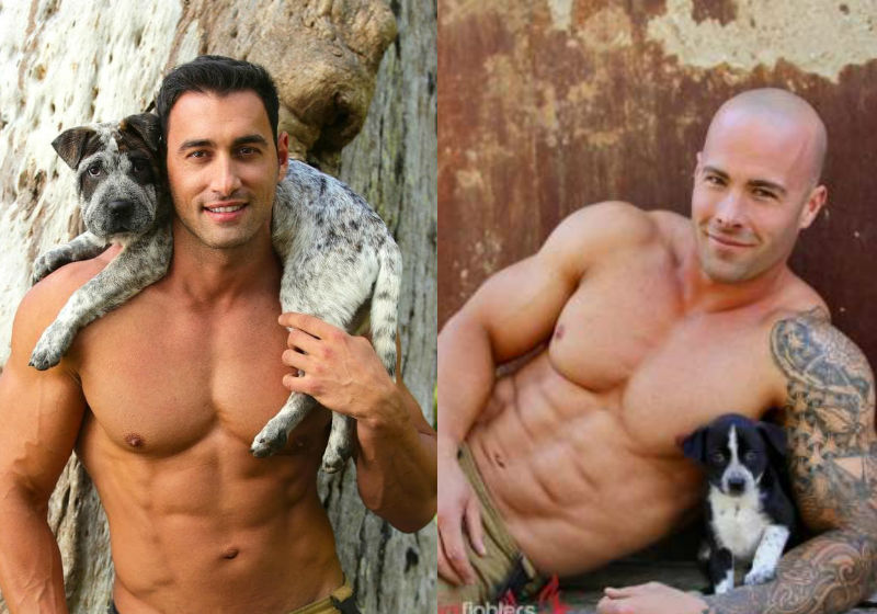 Calendário dos Bombeiros Australianos - Foto: Divulgação|Fotos: Divulgação|||