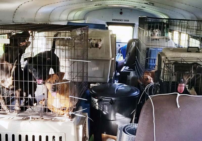 Foto: Shelley Mays/The Tennessean