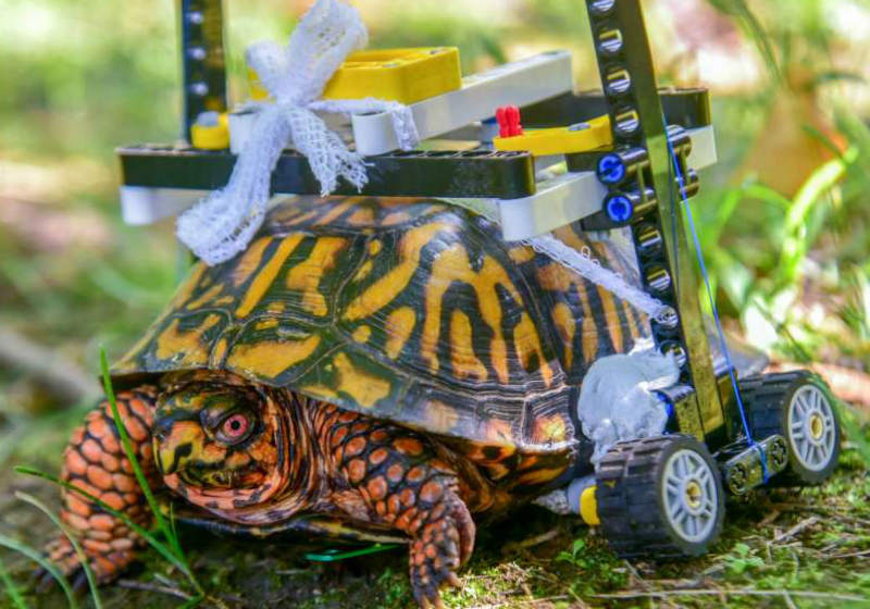 Foto: Cláudio Hudi|Foto: Claudio Yudi||