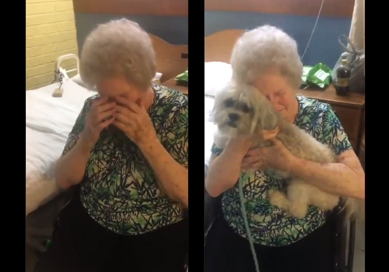 Fotos: reprodução / Twitter