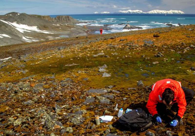 Leonardo José da Silva na Antártida - Foto: arquivo pessoal