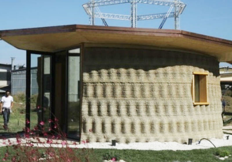 Foto: Wasp|Foto: Wasp||Foto: Wasp