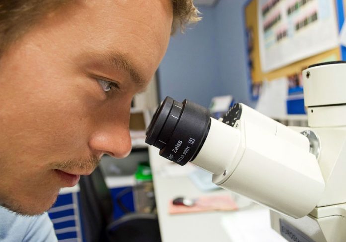 cientista-close Foto: Pixabay
