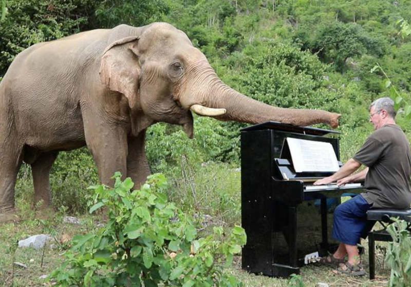 Foto: Magazine Features|Foto: Magazine Features||