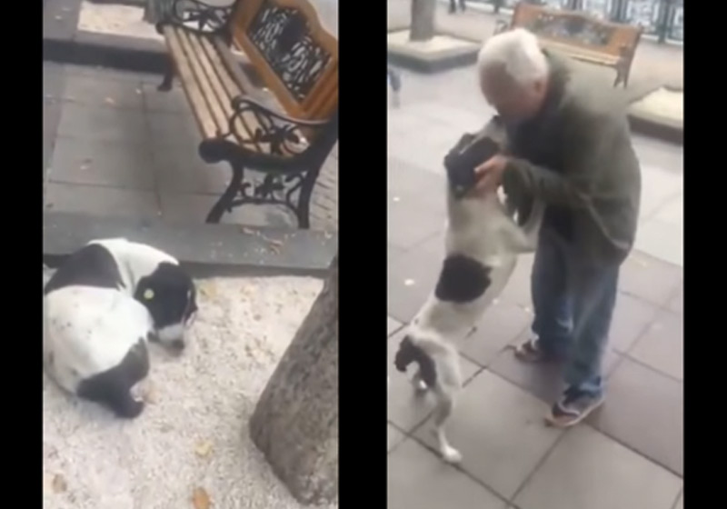 Fotos: reprodução / Youtube