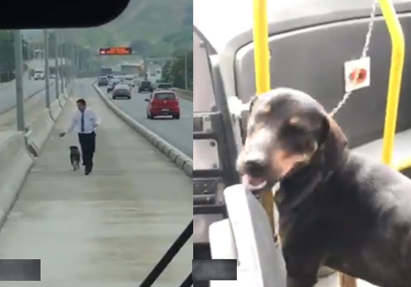 Sílvio Gomes com o Olímpicus - Fotos: reprodução/Twitter