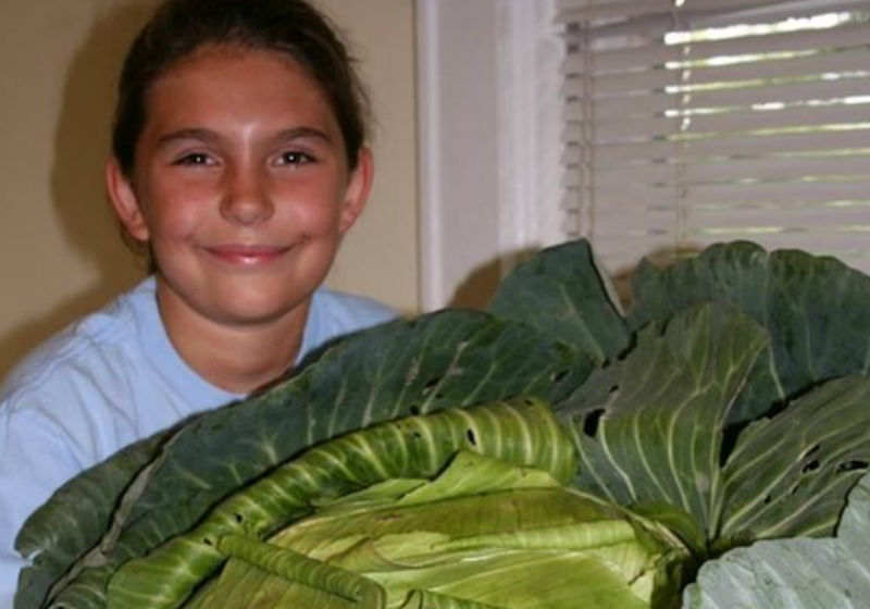 |Katie tem 20 anos e está na Faculdade Foto: Arquivo Pessoal|Katie