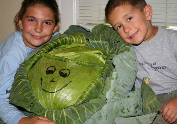 Katie, o irmão e o repolhoh