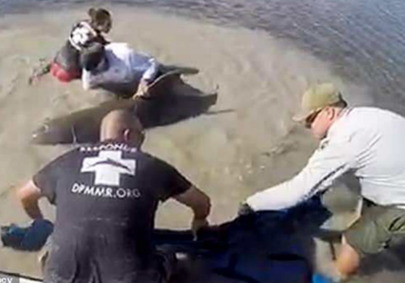 Foto: Reprodução YouTube