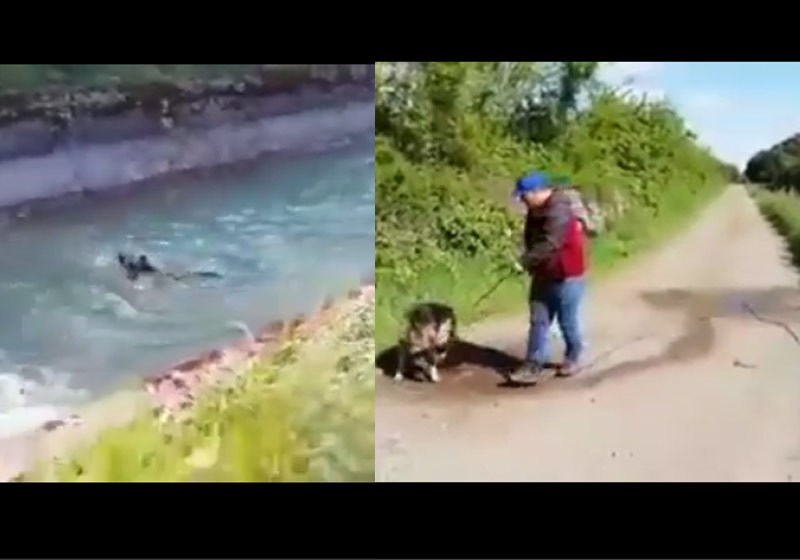 Fotos: reprodução / Instagram / TV Maule