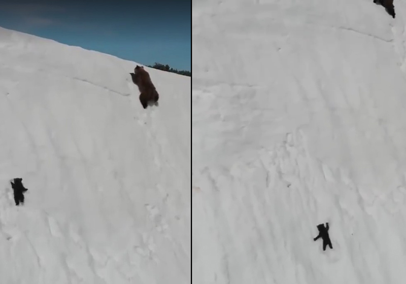 Fotos: reprodução / Facebook