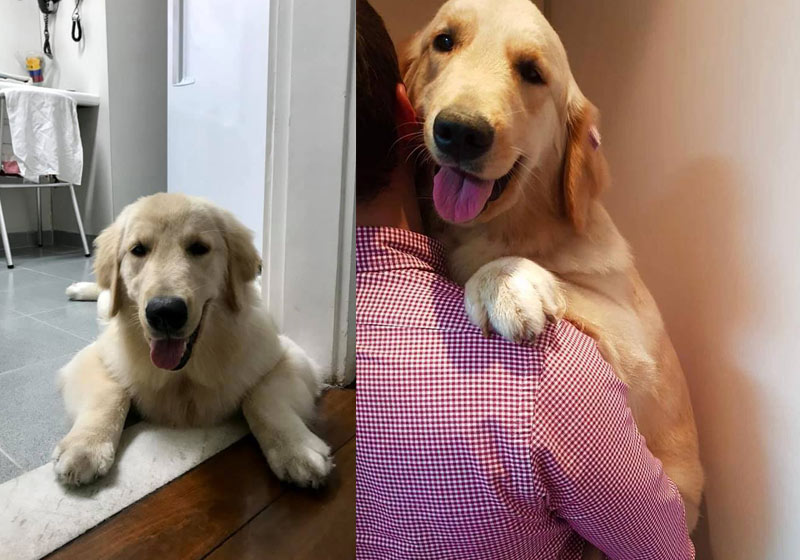 Fotos: reprodução / Facebook