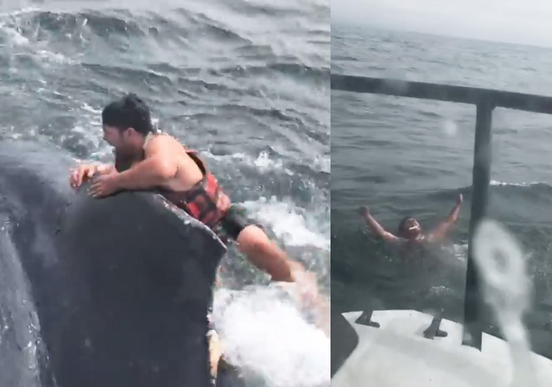 Fotos: reprodução / Instagram