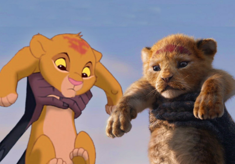 Foto: Divulgação|Foto: Divulgação|